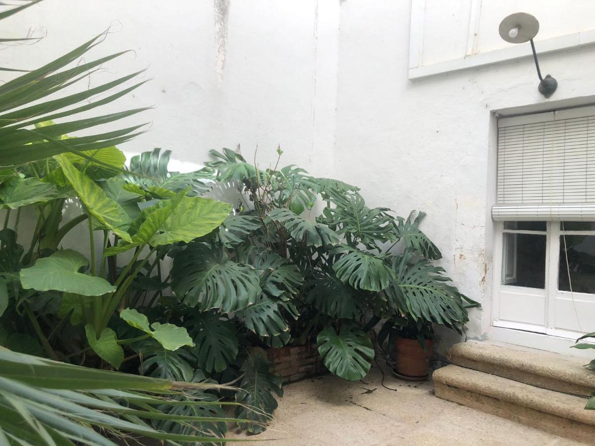 Apartamentos Tukasa Vintage Caceres Ngoại thất bức ảnh